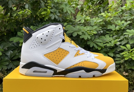 Air Jordan 6 Yellow Ochre CT8529-170 40-47.5 M105